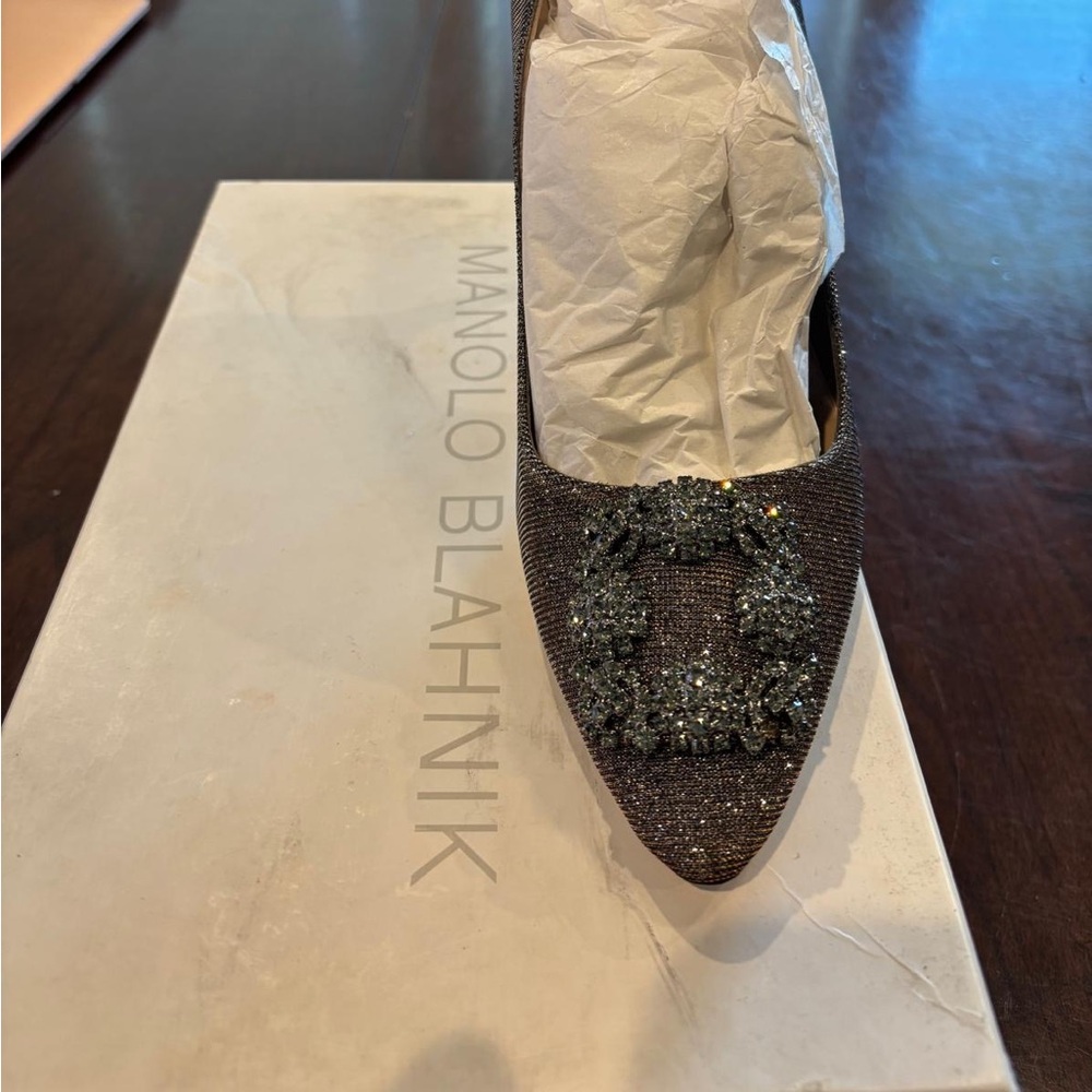 Glittery Manolo Blahnik Hangisi 105